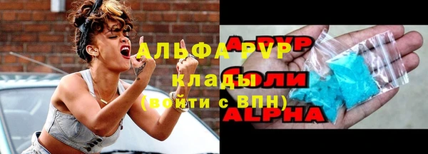 метадон Богданович