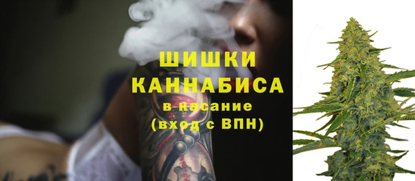 метадон Богданович