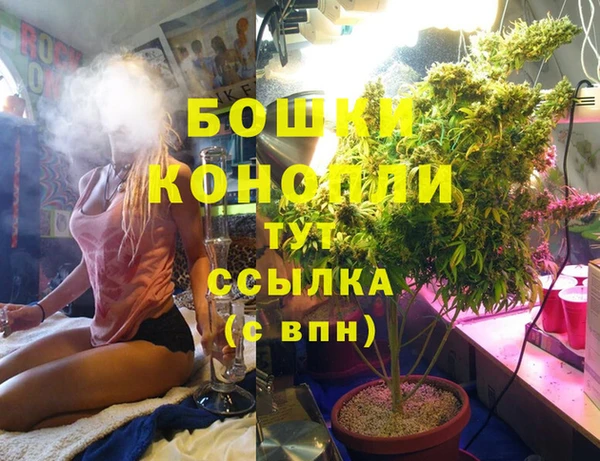 соль ск Богородск