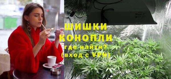 соль ск Богородск