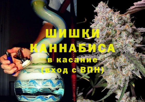 метадон Богданович