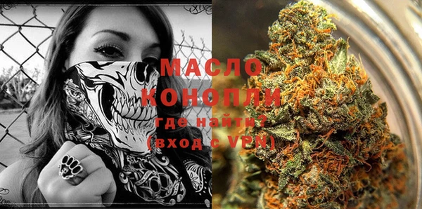 метадон Богданович