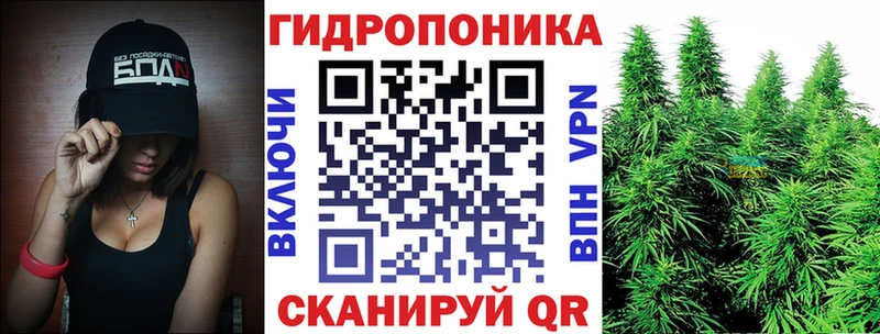 закладки  Духовщина  Канабис ГИДРОПОН 